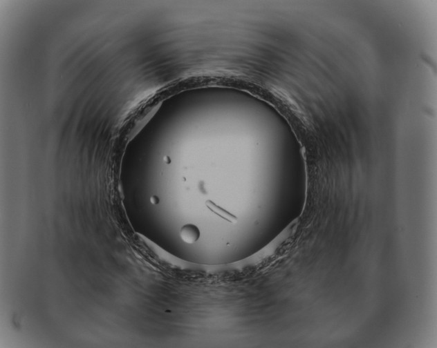 X0000091310872200708241111