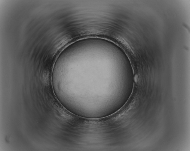 X0000091310873200708241111