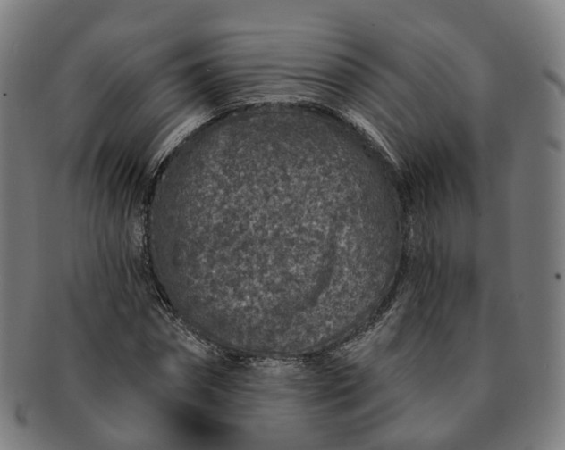 X0000091310874200708241111