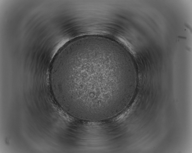 X0000091310875200708241111