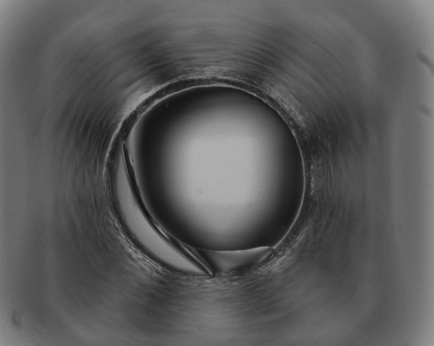 X0000091310876200708241111