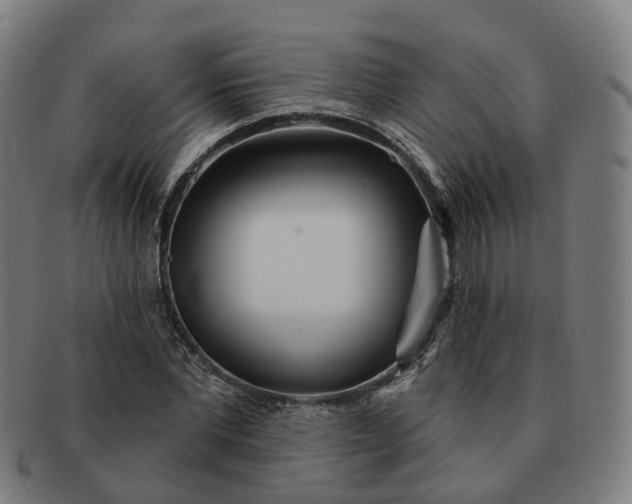 X0000091310877200708241111