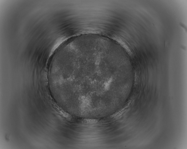 X0000091310878200708241111