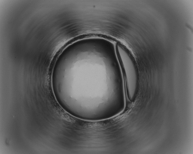 X0000091310879200708241111