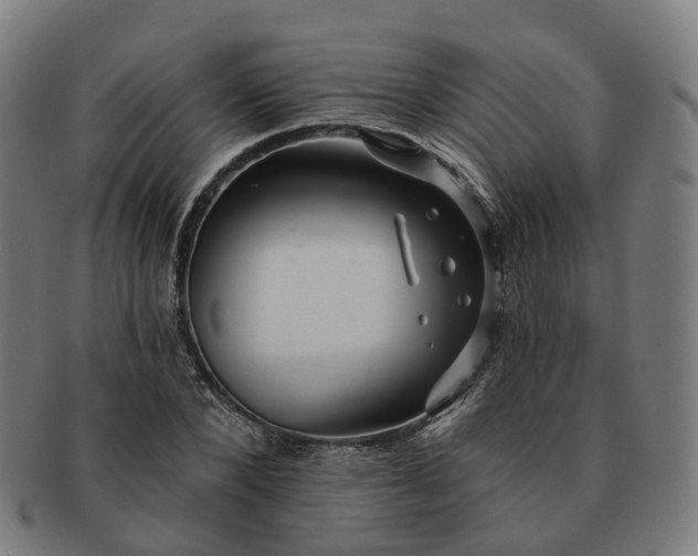 X0000091310880200708241111