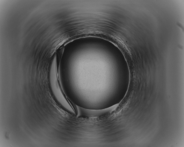 X0000091310881200708241111