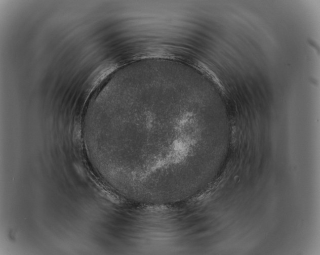 X0000091310882200708241111