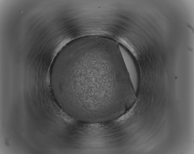 X0000091310883200708241111