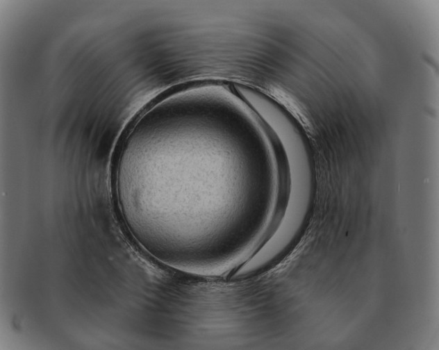 X0000091310884200708241111