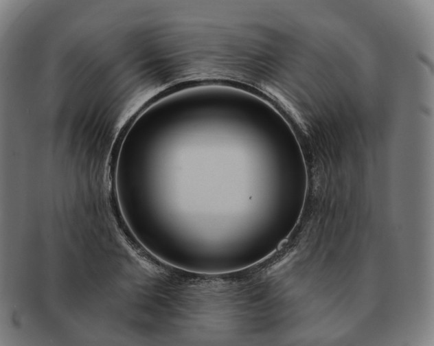 X0000091310885200708241111