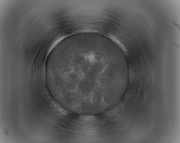 X0000091310886200708241111