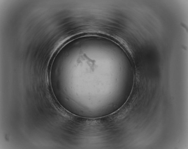 X0000091310887200708241111