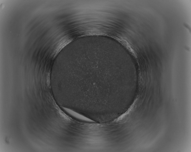 X0000091310889200708241111