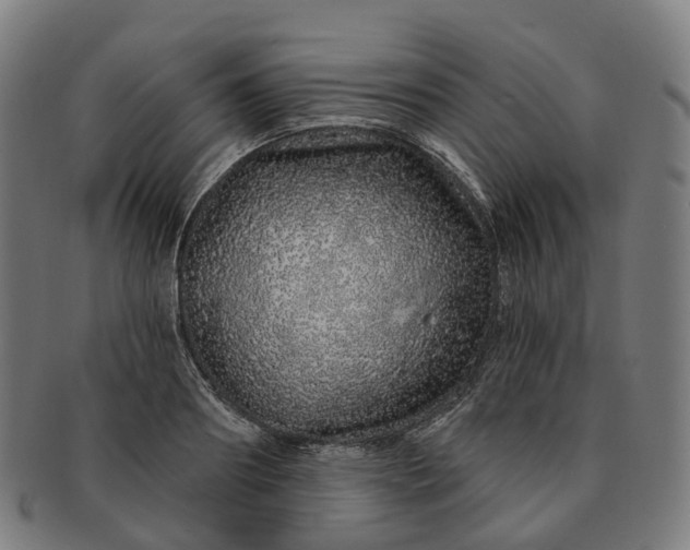 X0000091310890200708241111