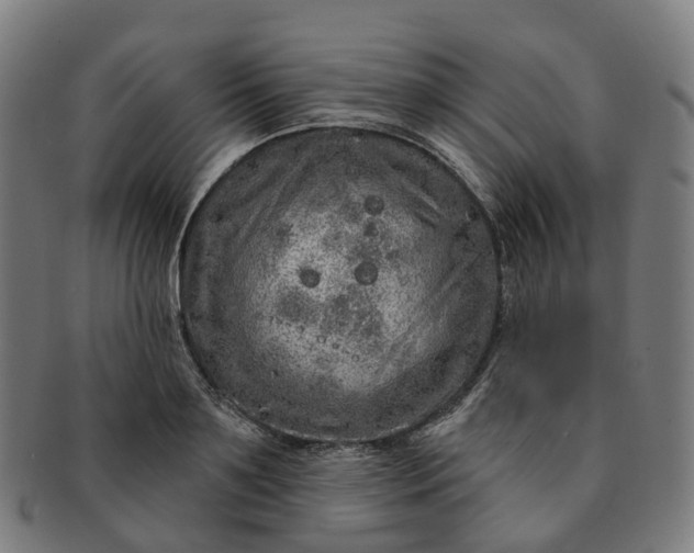 X0000091310891200708241111