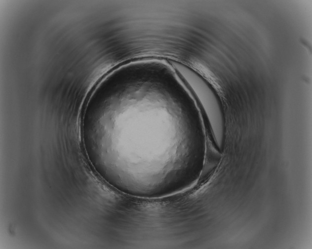 X0000091310892200708241111