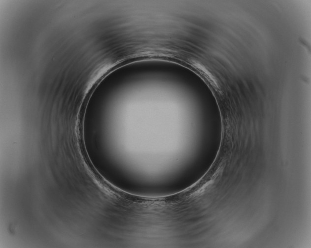 X0000091310893200708241111