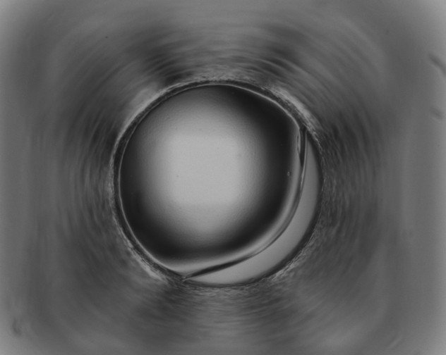 X0000091310894200708241111