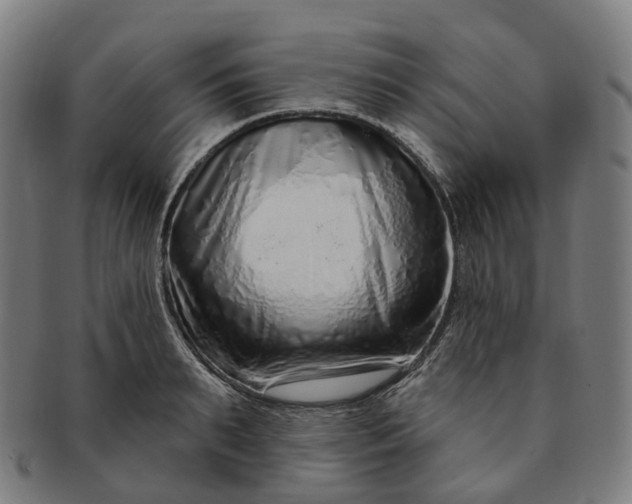 X0000091310895200708241111