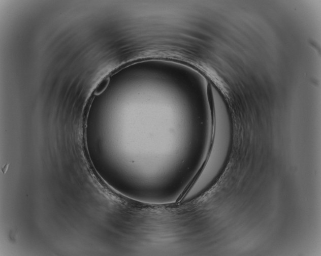 X0000091310896200708241111