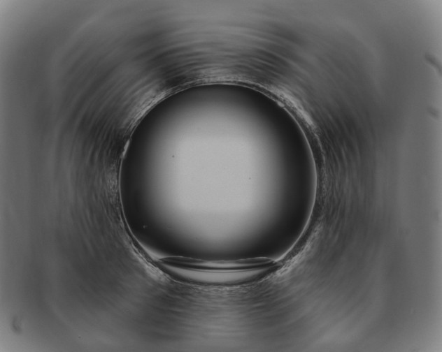 X0000091310897200708241111