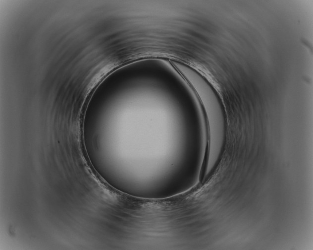 X0000091310898200708241111