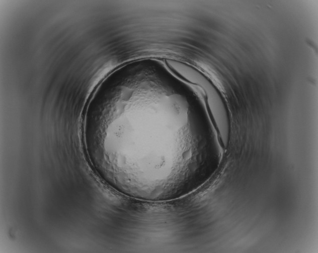 X0000091310899200708241111