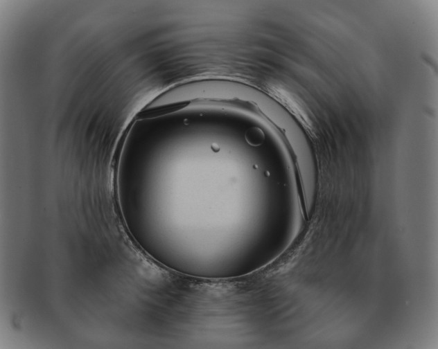 X0000091310900200708241111