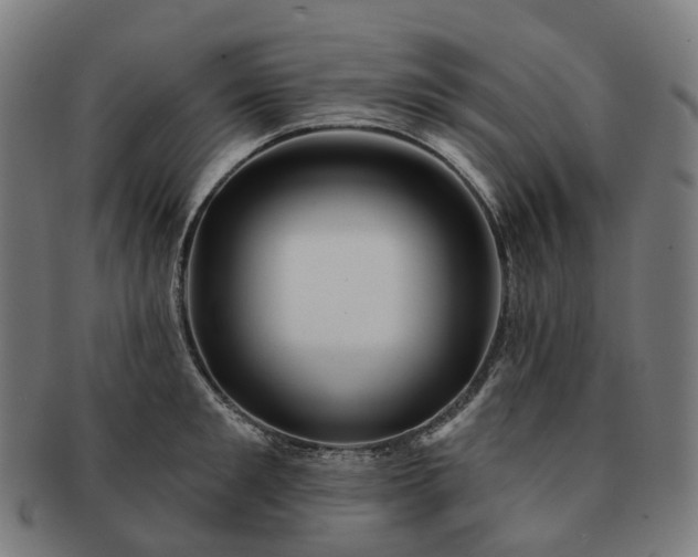 X0000091310901200708241111