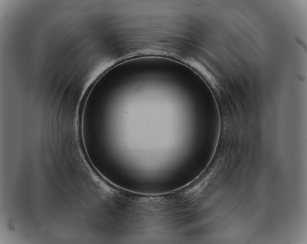 X0000091310902200708241111