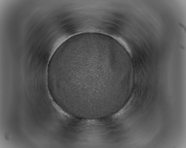 X0000091310903200708241111