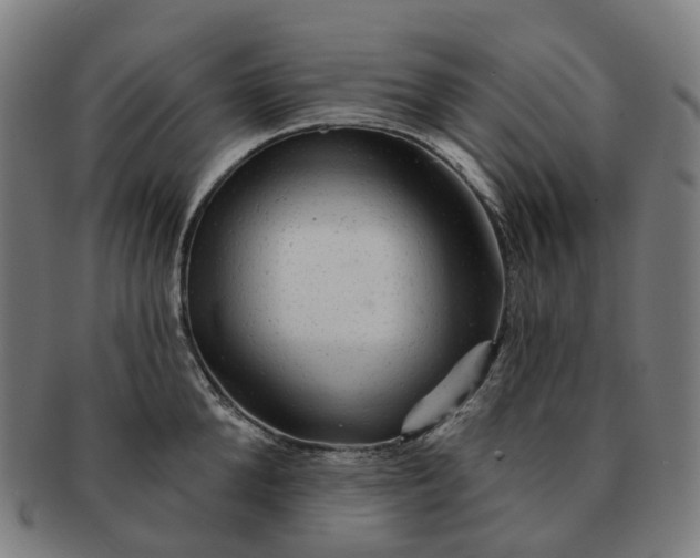 X0000091310904200708241111