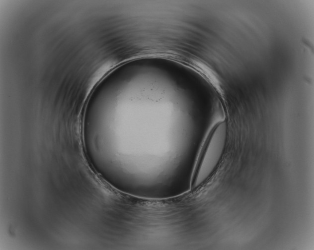 X0000091310907200708241111