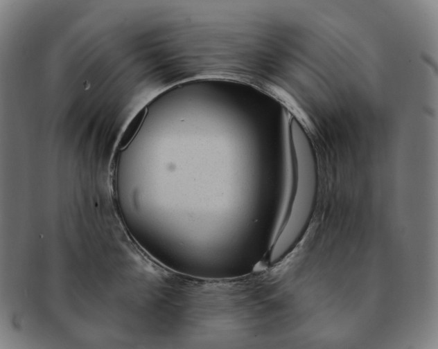 X0000091310908200708241111