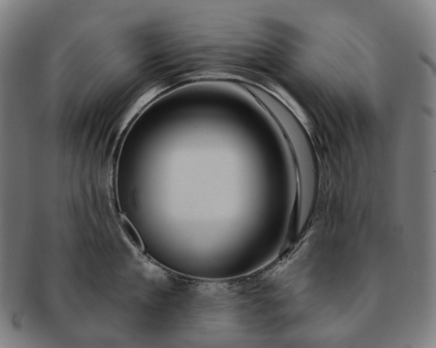 X0000091310909200708241111