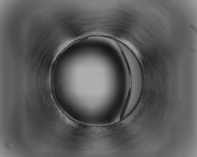 X0000091310910200708241111