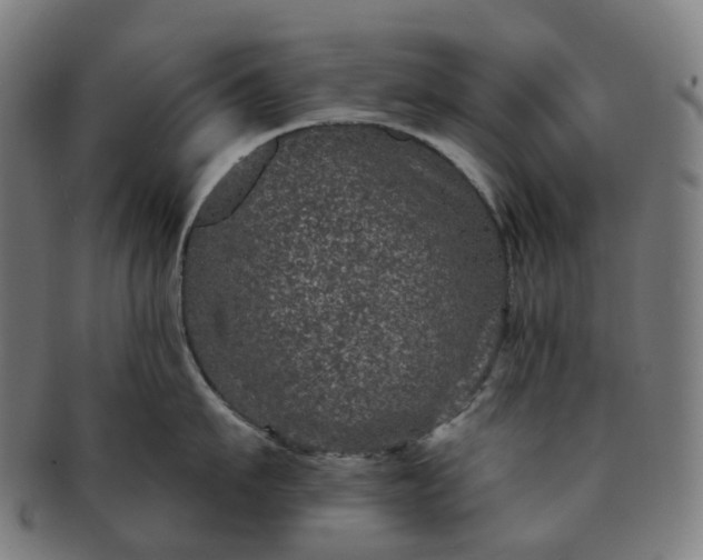 X0000091310911200708241111