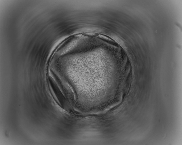 X0000091310912200708241111