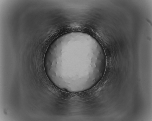 X0000091310913200708241110