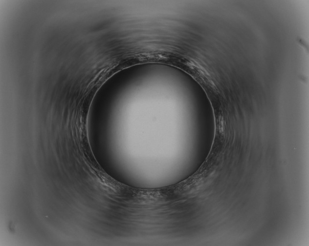 X0000091310915200708241110