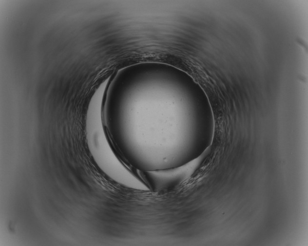 X0000091310916200708241110