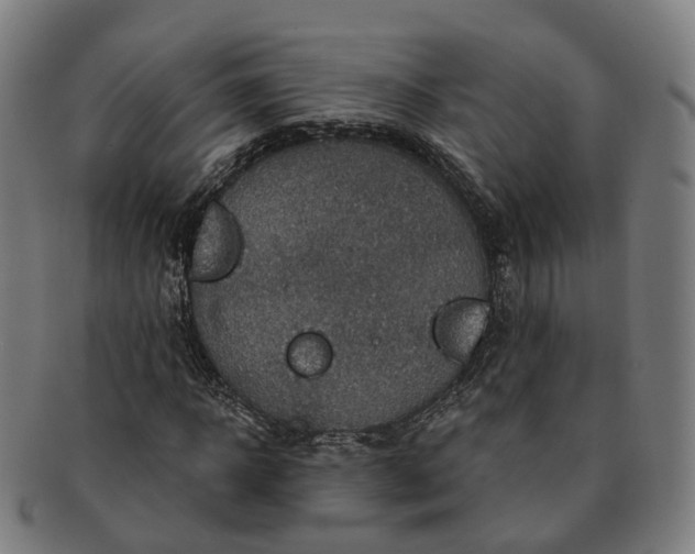 X0000091310918200708241110