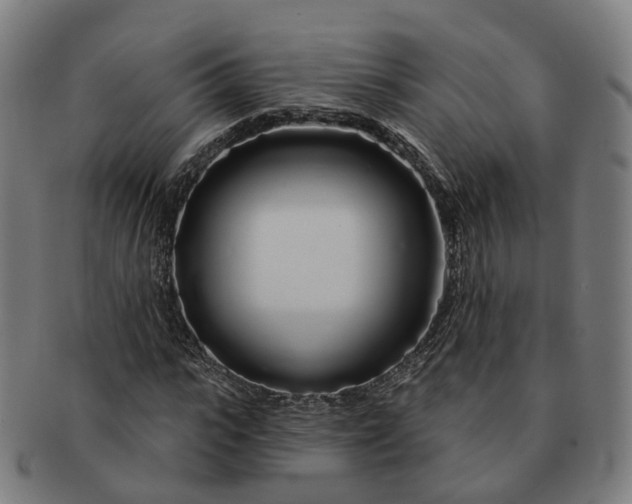 X0000091310919200708241110