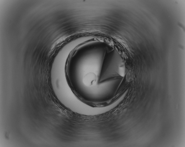 X0000091310920200708241110