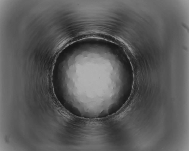 X0000091310921200708241110