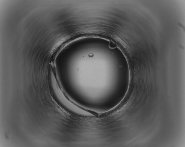 X0000091310922200708241110