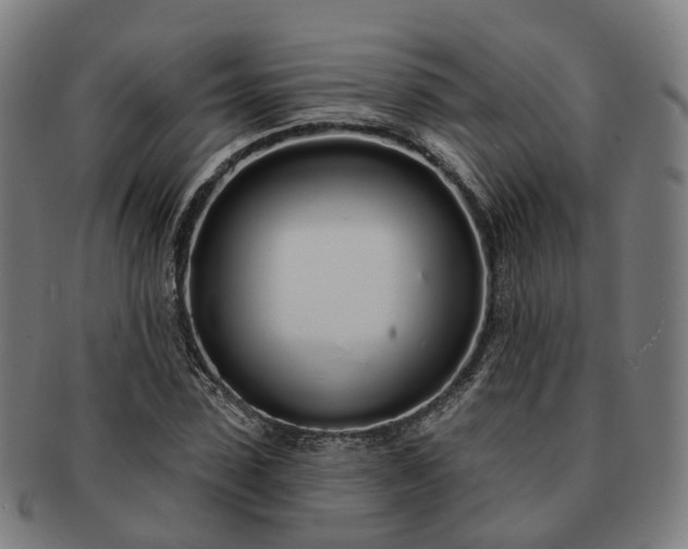 X0000091310923200708241110