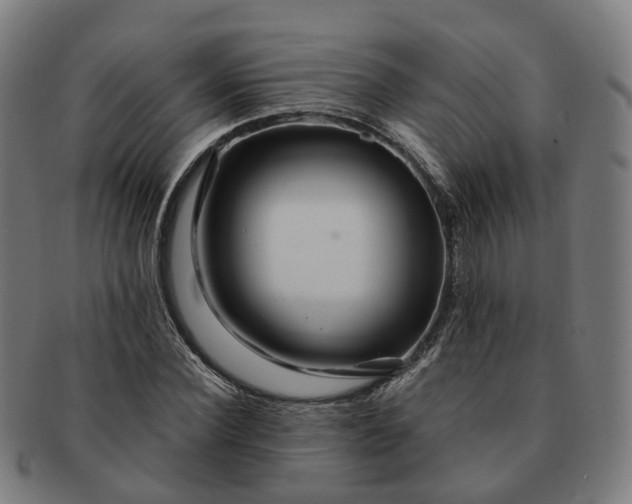 X0000091310924200708241110