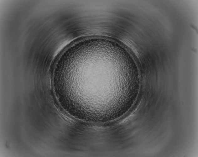 X0000091310925200708241110