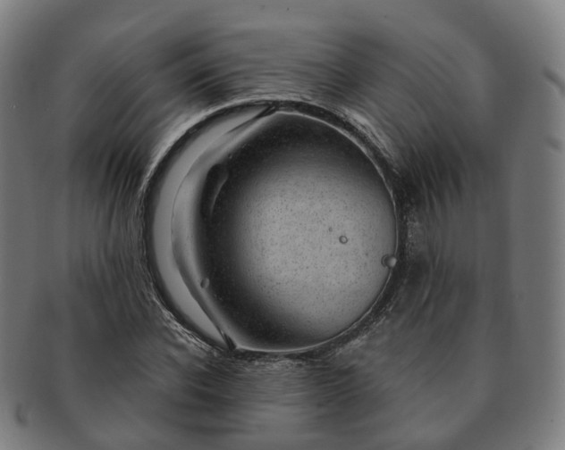 X0000091310926200708241110